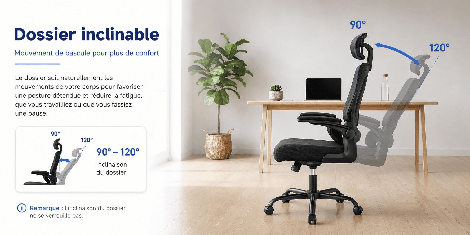 Chaise ERGONEST — Édition Essentielle